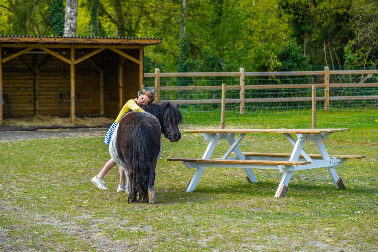 Europarcs Hoge Kempen Зутендаль Екстер'єр фото